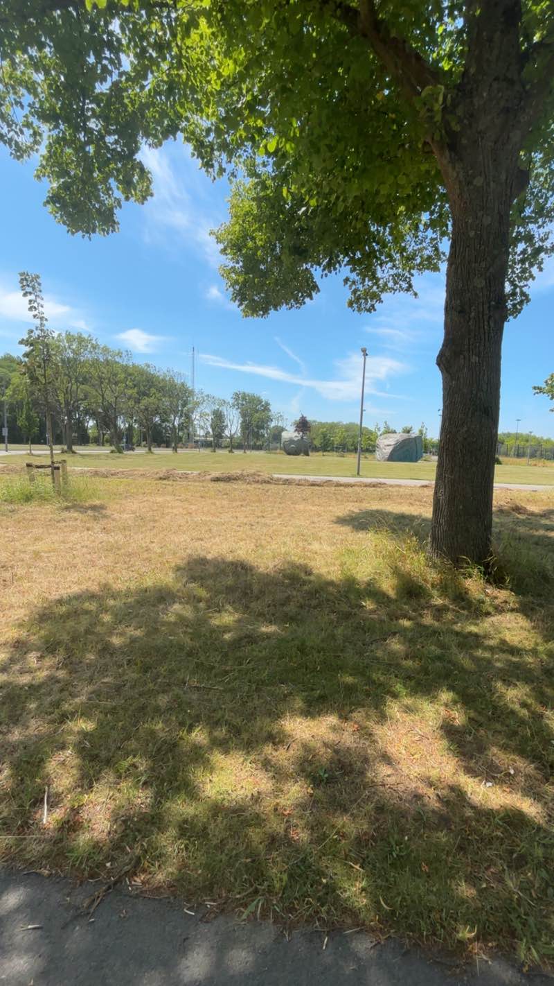 walking near me in De Twee Heuvels in summer