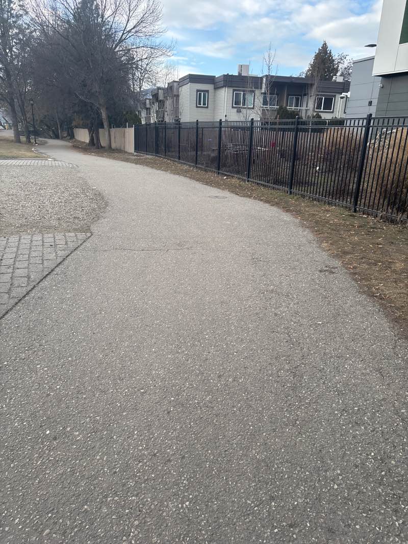 walking near me in Linear Park in winter