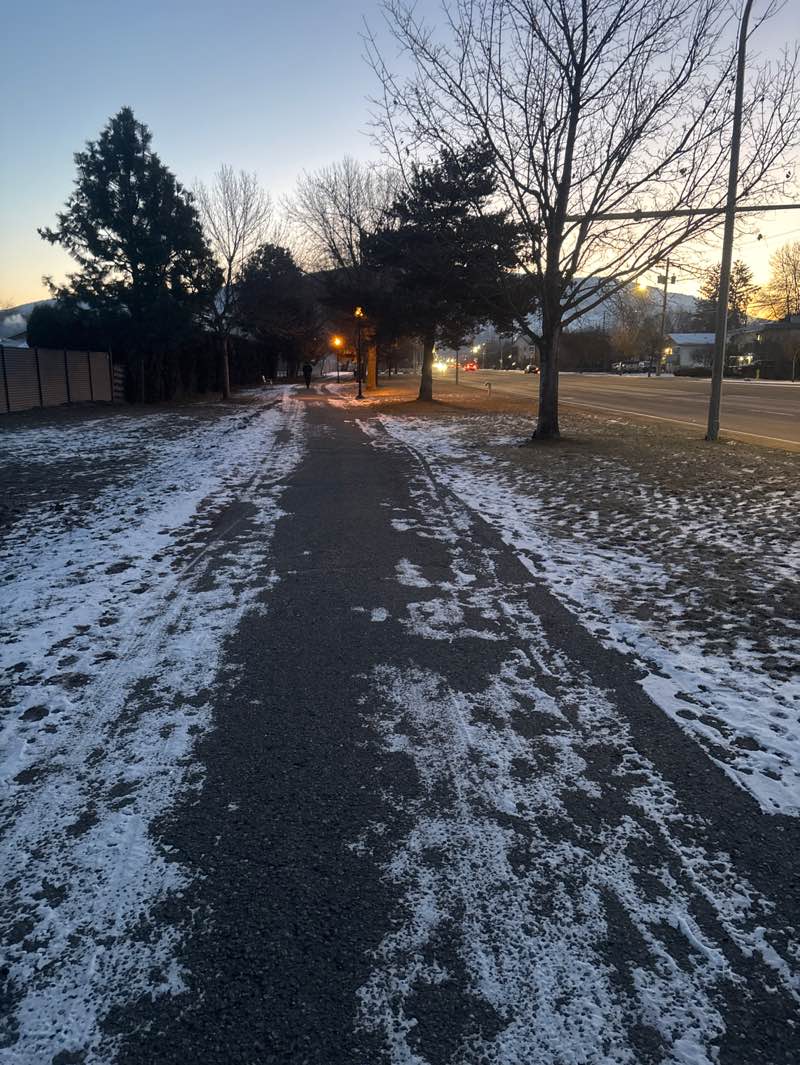 walking near me in Linear Park in winter