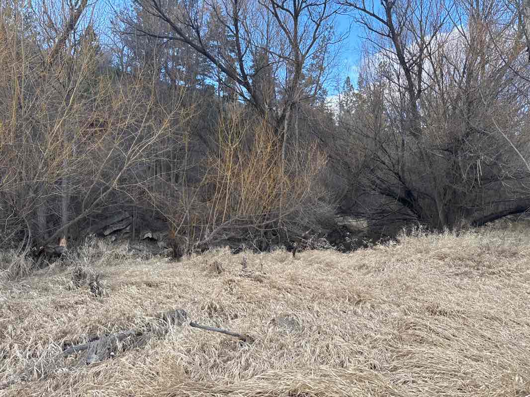 walking near me in Polson Park in spring