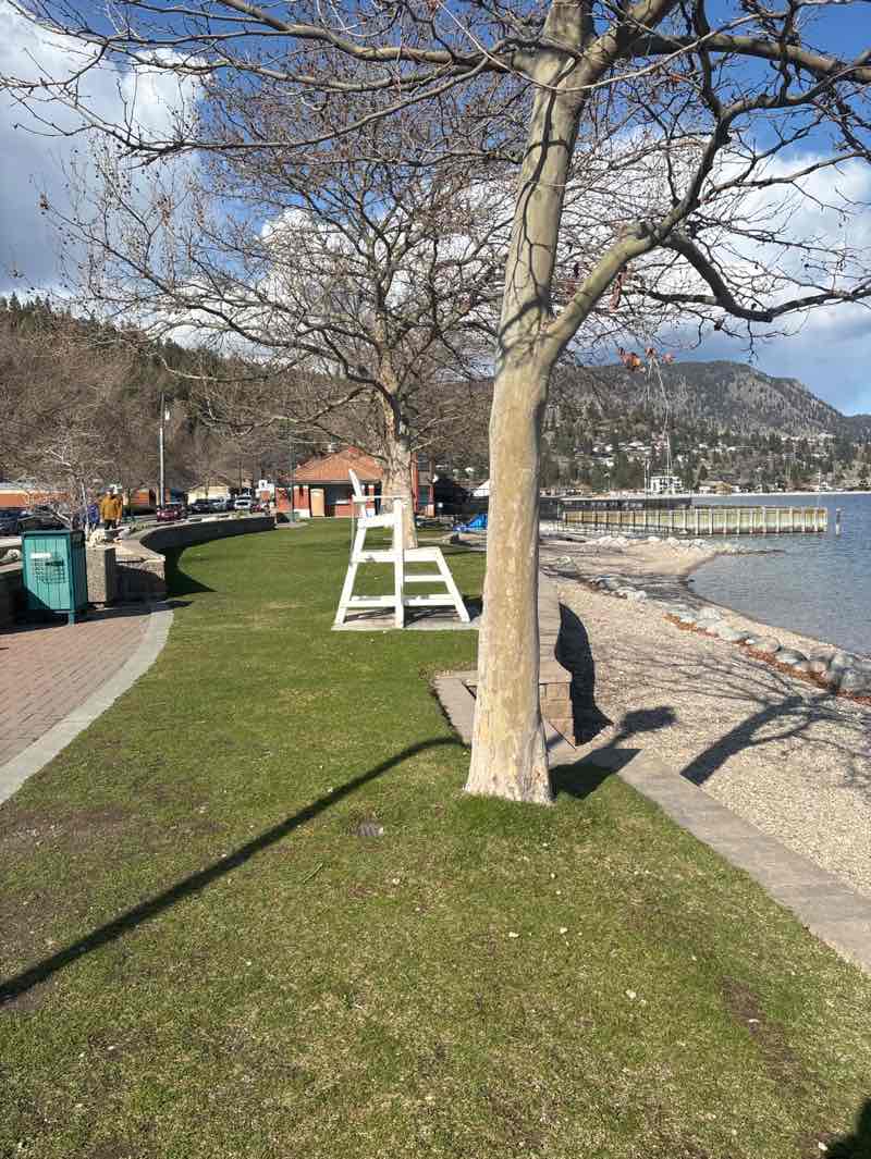 walking near me in Cousins Park in spring