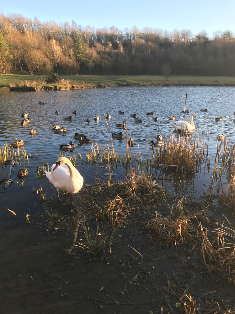 walking near me in Horton Bank Country Park in winter