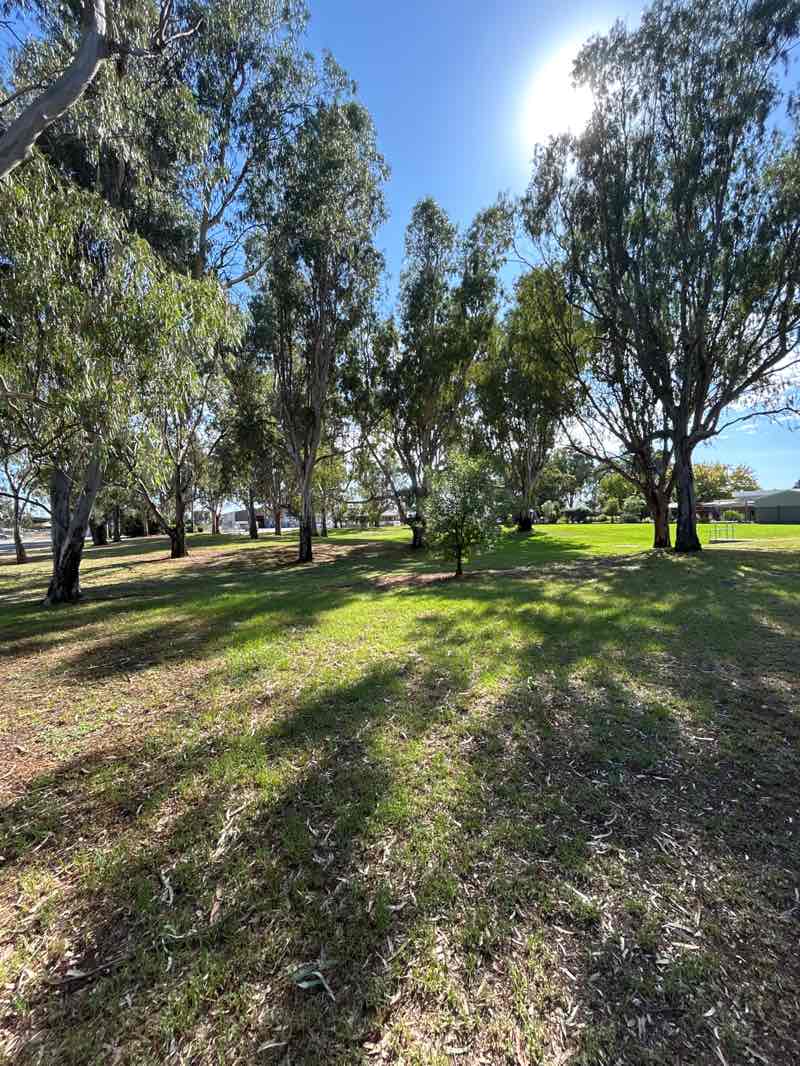 walking near me in Waipukurau Park in autumn