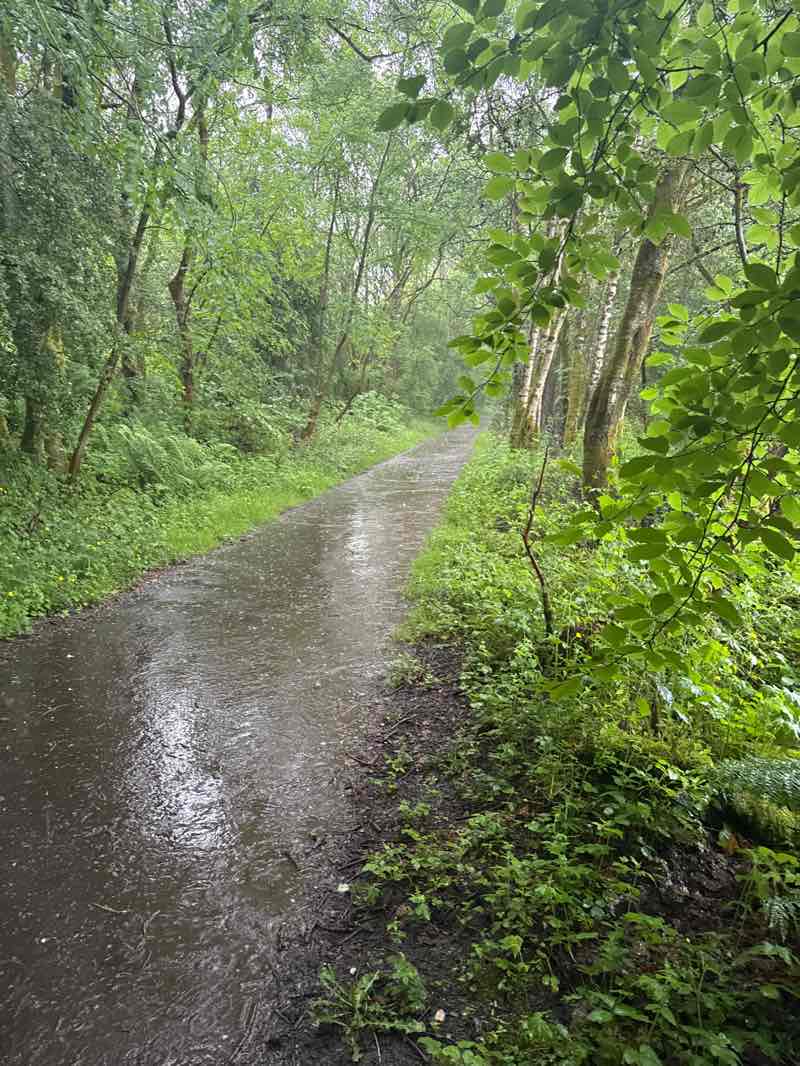 walking near me in Ferguson Park in summer