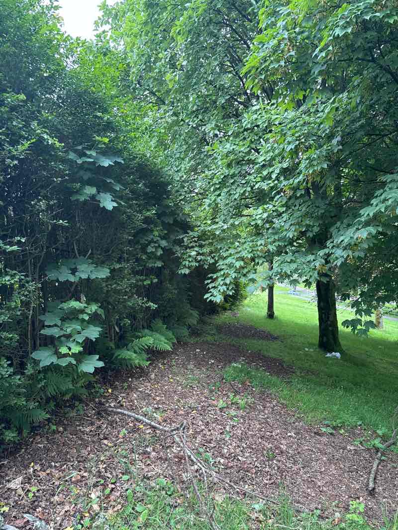 walking near me in Campsie High Park in summer