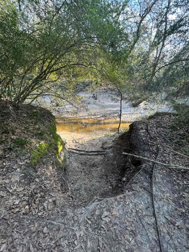 walking near me in Lick Creek Park in spring