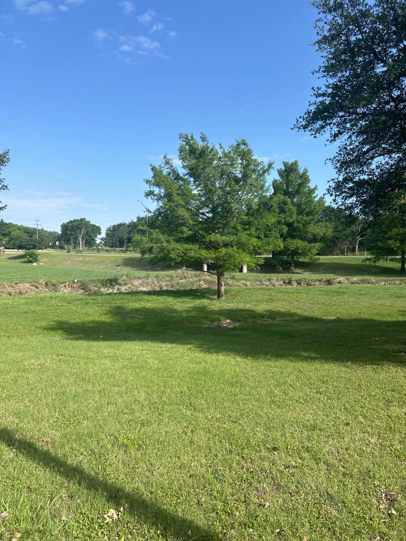 walking near me in Wolf Pen Creek Park in spring