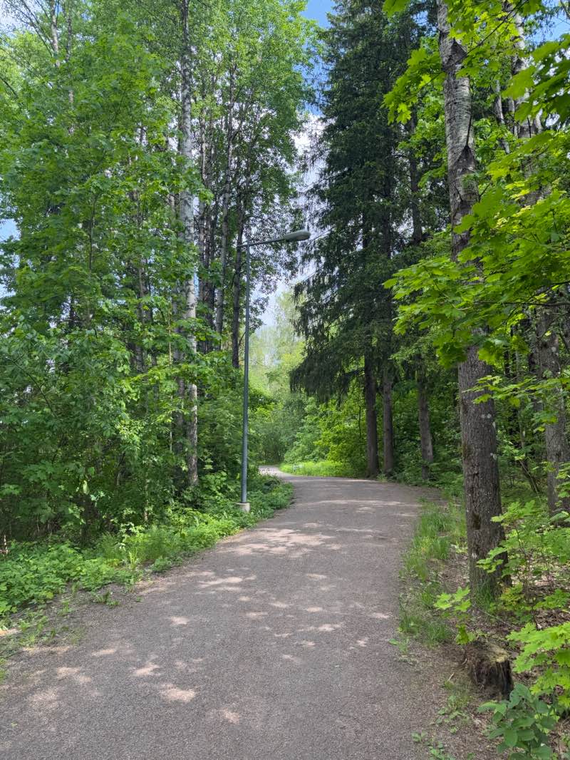walking near me in Heiniemi in summer