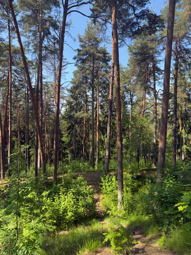 walking near me in Maari in summer