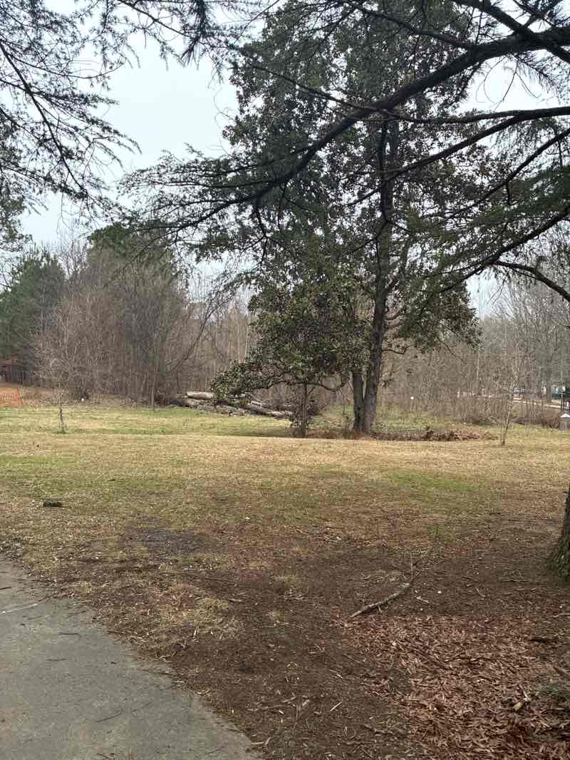 walking near me in Northgate Park in spring