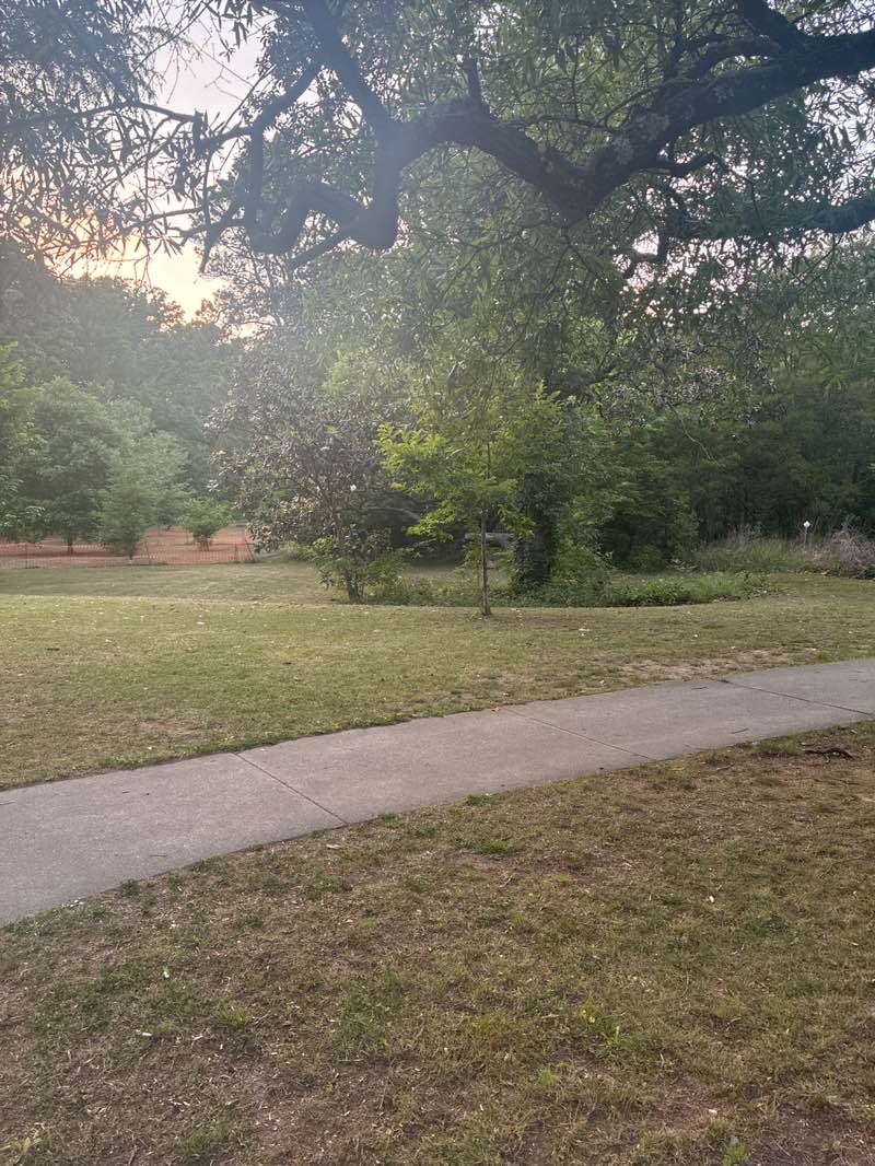walking near me in Northgate Park in spring