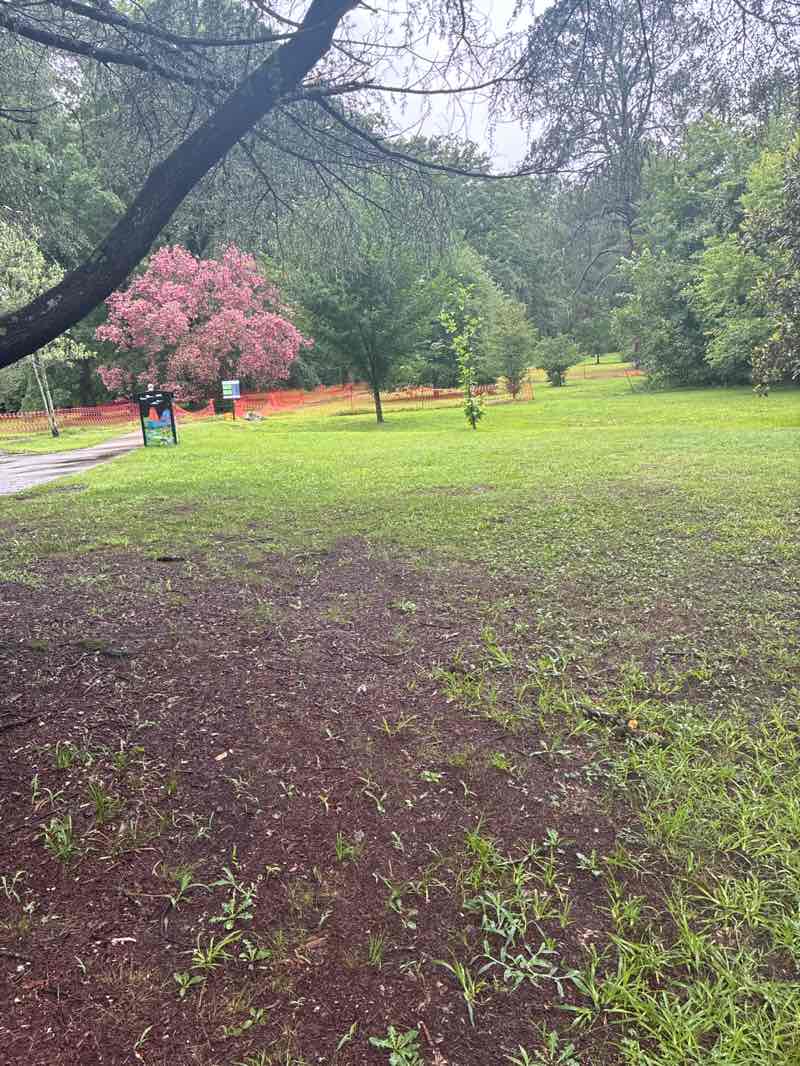 walking near me in Northgate Park in summer
