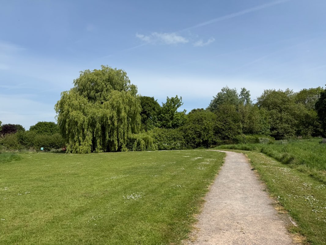 walking near me in Abbey Park in spring