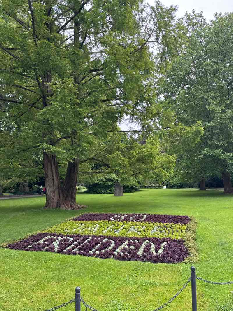 walking near me in Hofgarten in spring