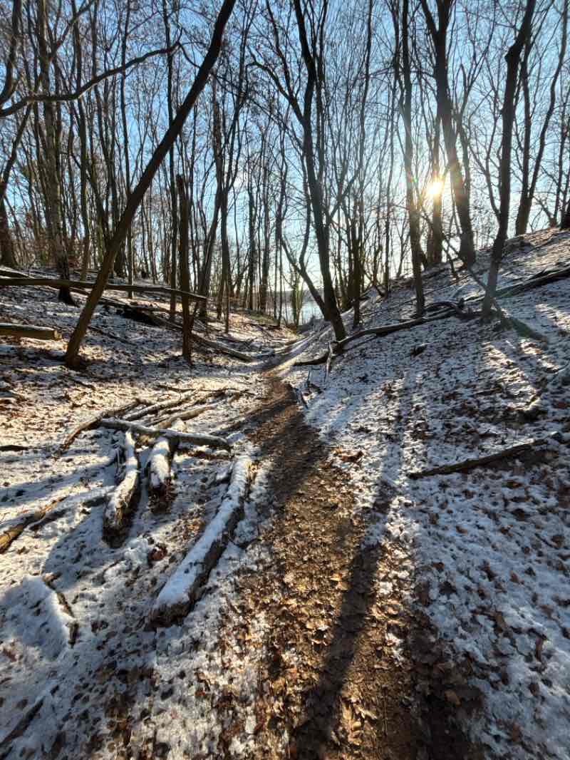 walking near me in Friedrich-Günther-Park in winter