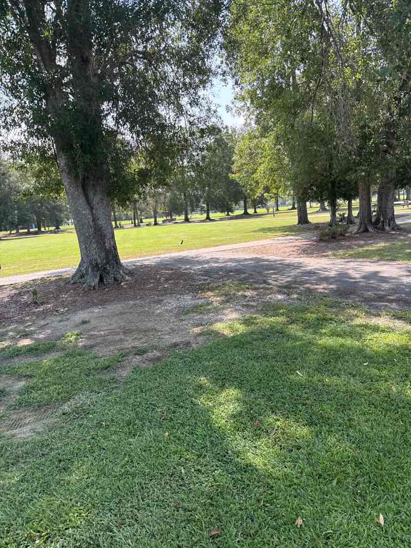 walking near me in Sidney Hutchinson Park in summer