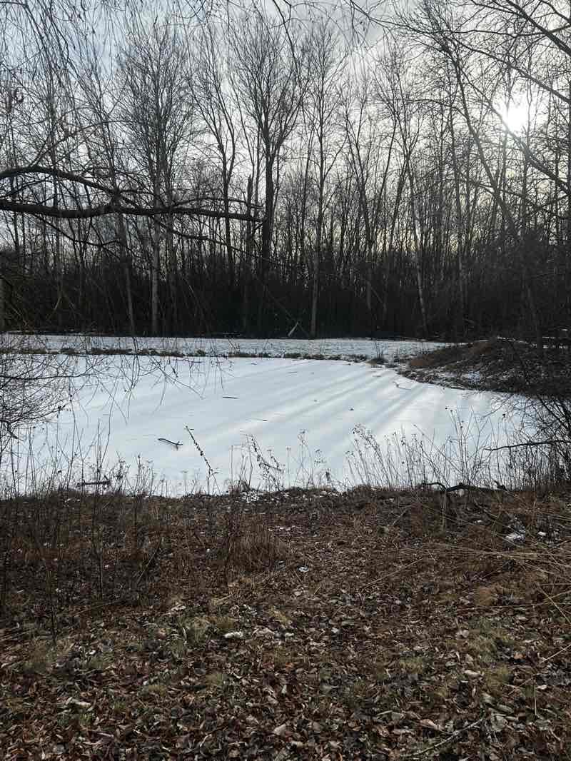 walking near me in Sherwood Forest in winter