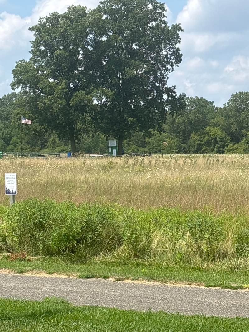 walking near me in River Rouge Park in autumn