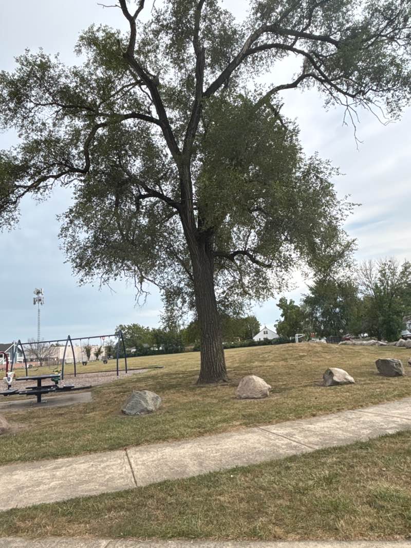 walking near me in Lloyd H. Ryan Playground in summer