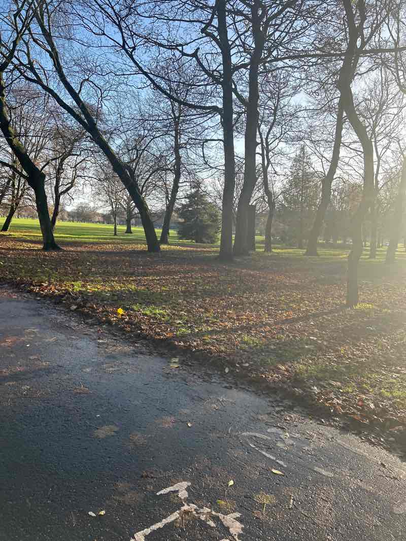 walking near me in The Meadows in winter