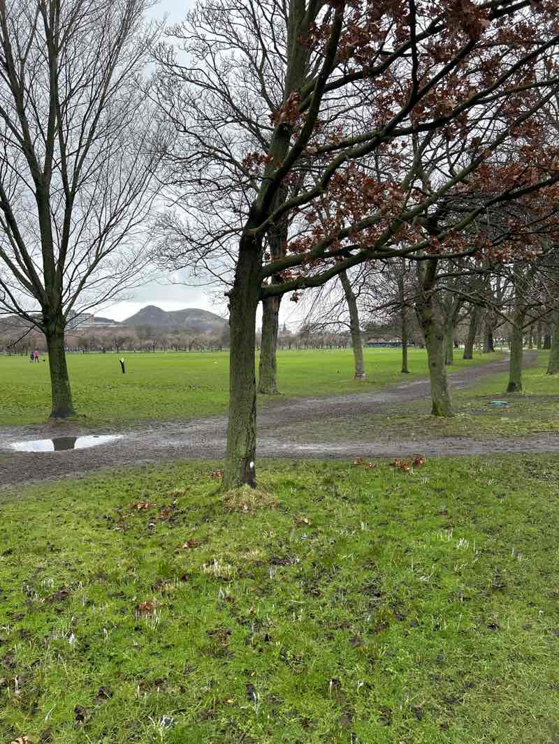 walking near me in The Meadows in winter