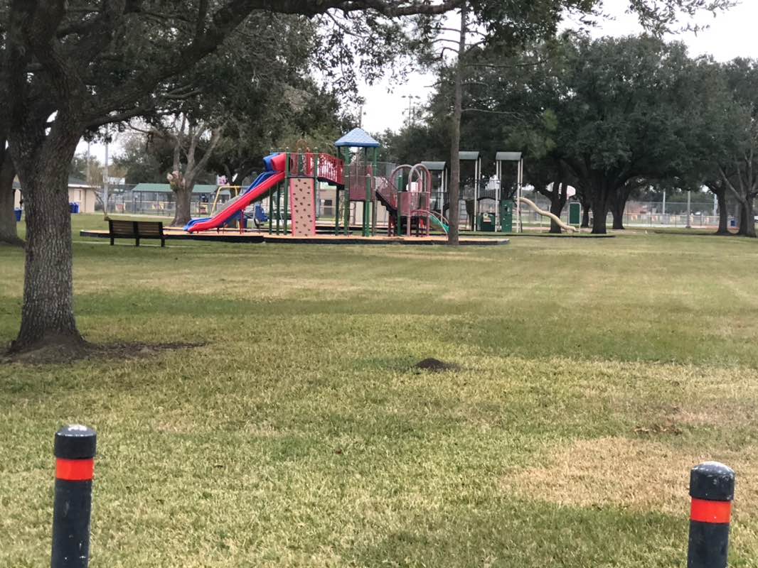 walking near me in Pearson Park in winter