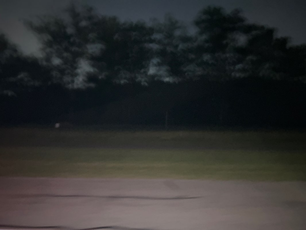 walking near me in Forest Park in summer