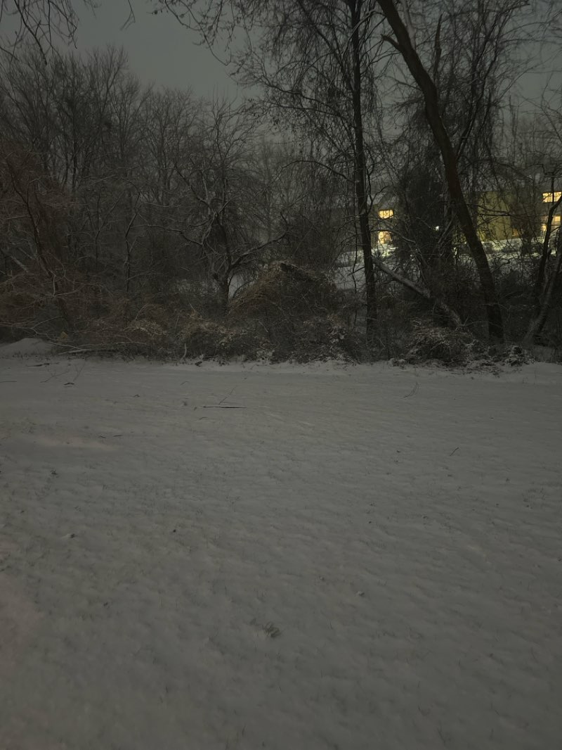 walking near me in Renaissance Park in winter