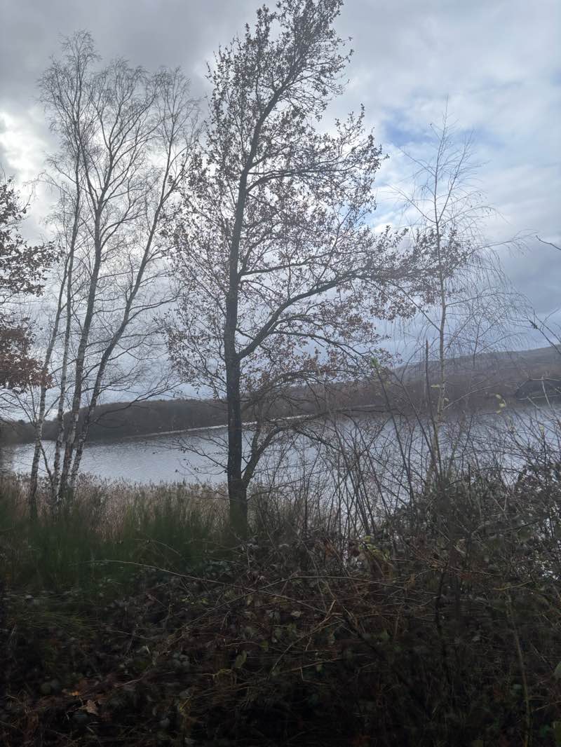 walking near me in Strandbad Bosen in winter