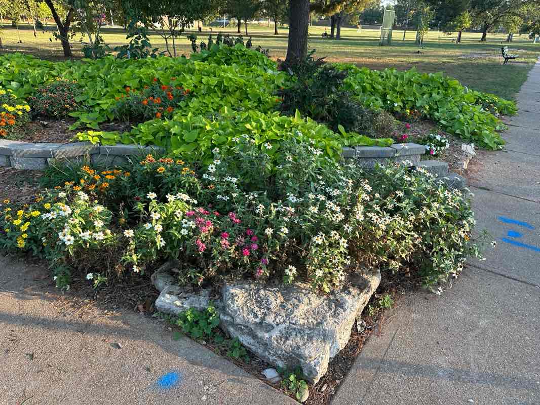 walking near me in Lindenwood Park in autumn