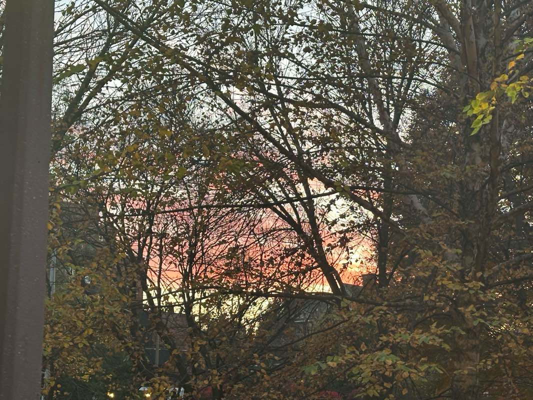 walking near me in Compton Hill Reservoir Park in autumn