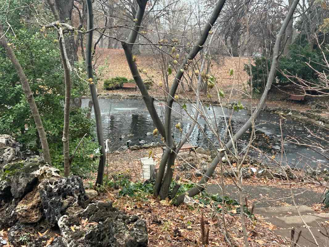 walking near me in Lafayette Park in winter