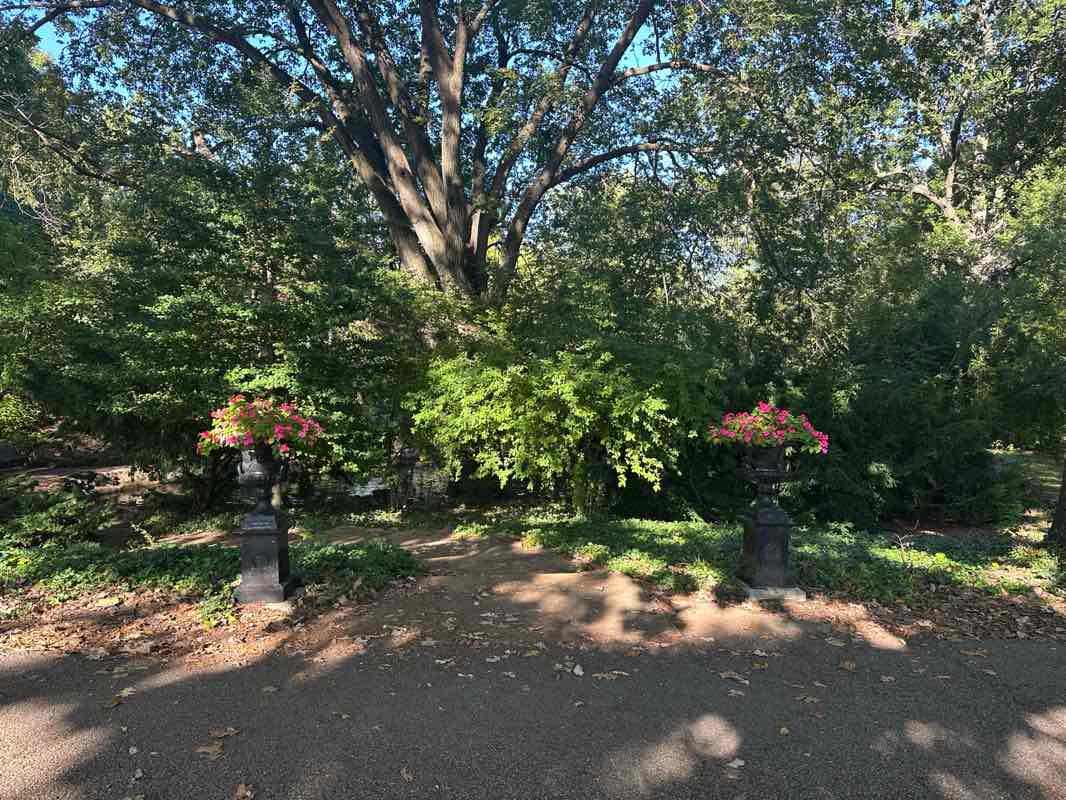 walking near me in Lafayette Park in autumn