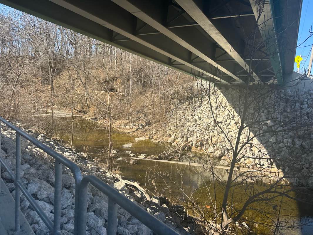 walking near me in Bob Mays Park in winter