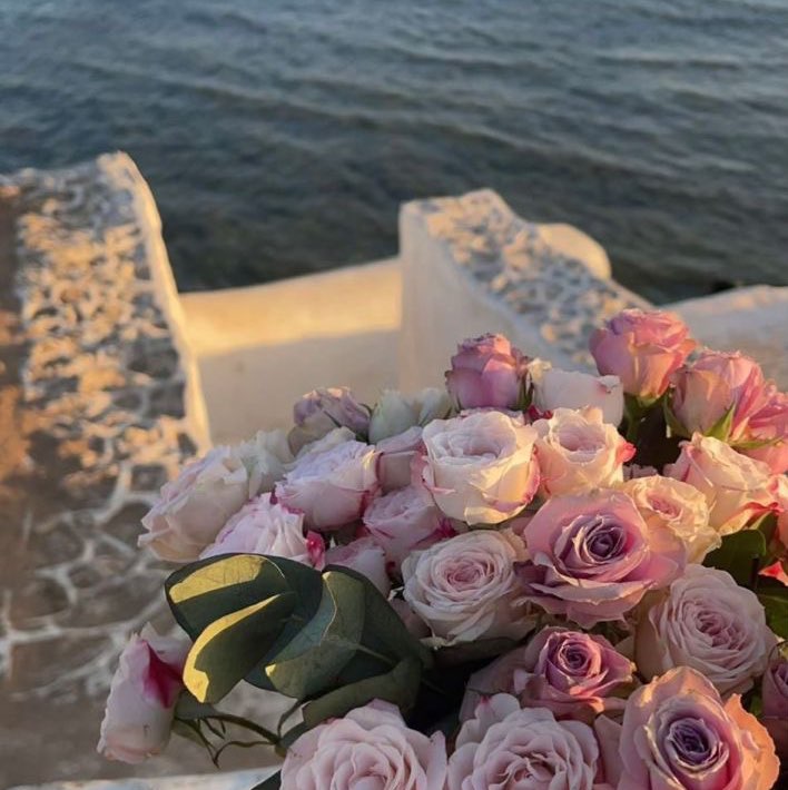 Дарья Иванова profile