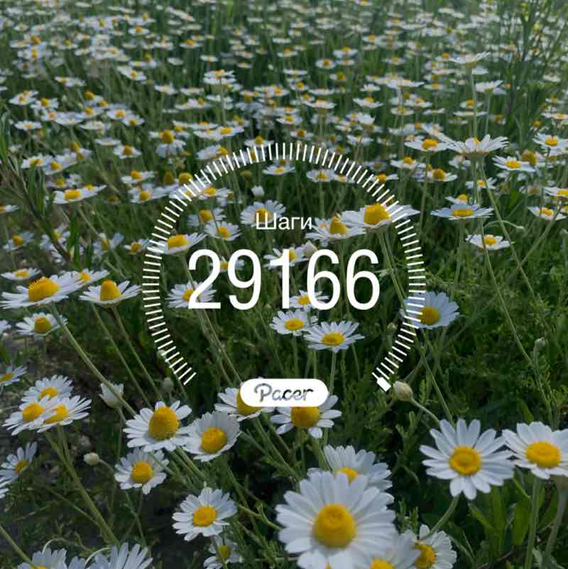 Ирина Винтер Камышин post 1