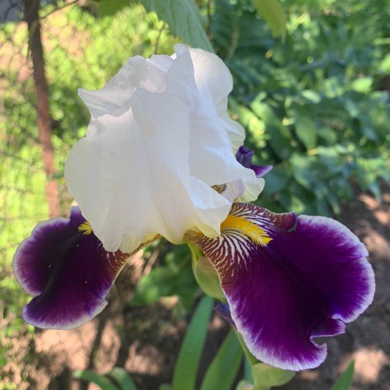 Ирина Винтер Камышин post 3