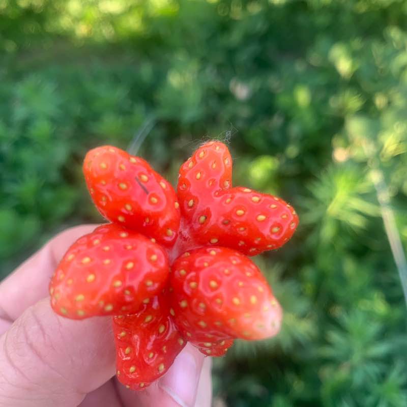 Ирина Винтер Камышин post 2