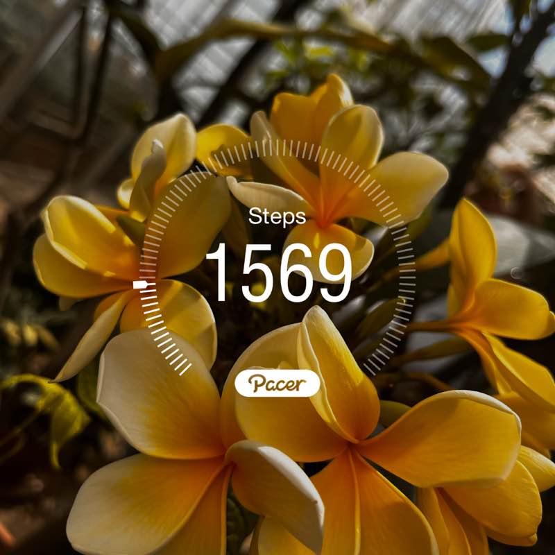 sakuras🌸🌸🌸🌸🌸 post 1