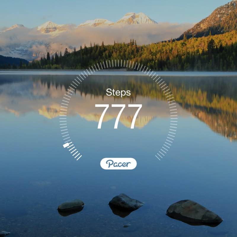 sakuras🌸🌸🌸🌸🌸 post 1