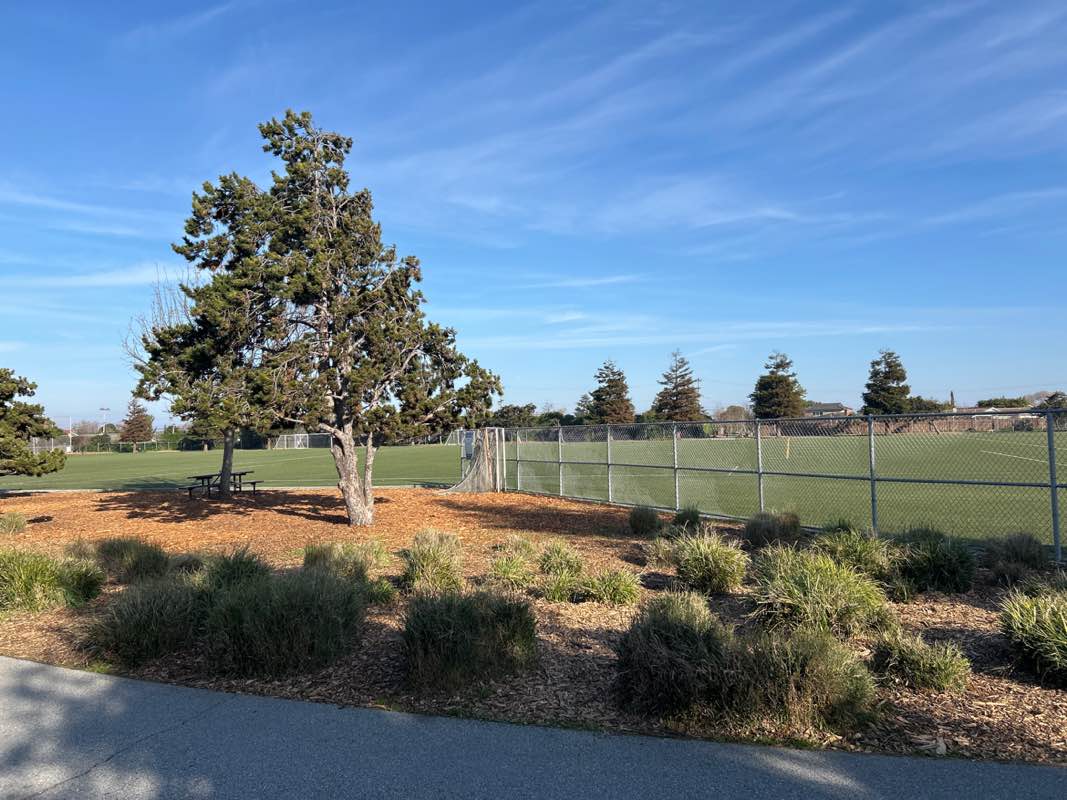 walking near me in Los Prados Park in winter