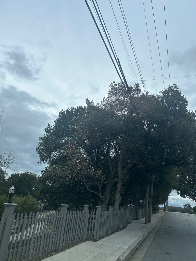 walking near me in Borel Park in winter