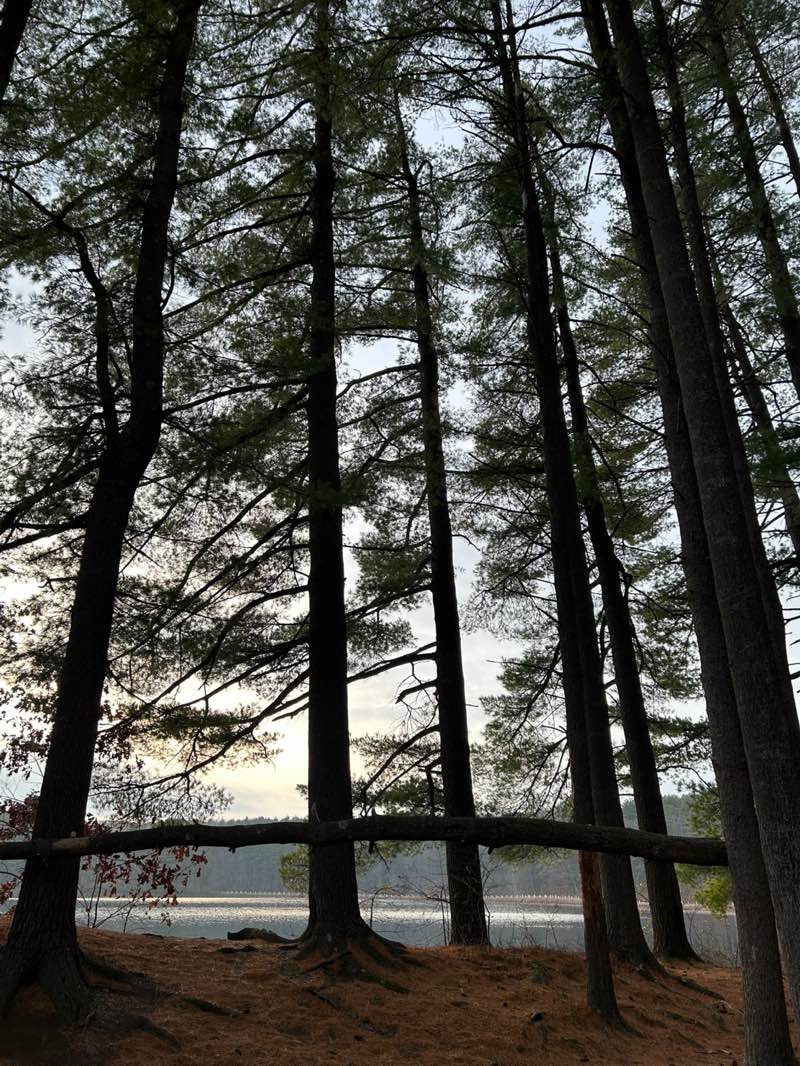 walking near me in Ashley Watershed in autumn