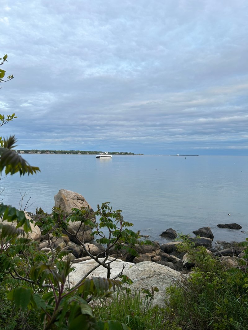 walking near me in Stage Fort Park in spring