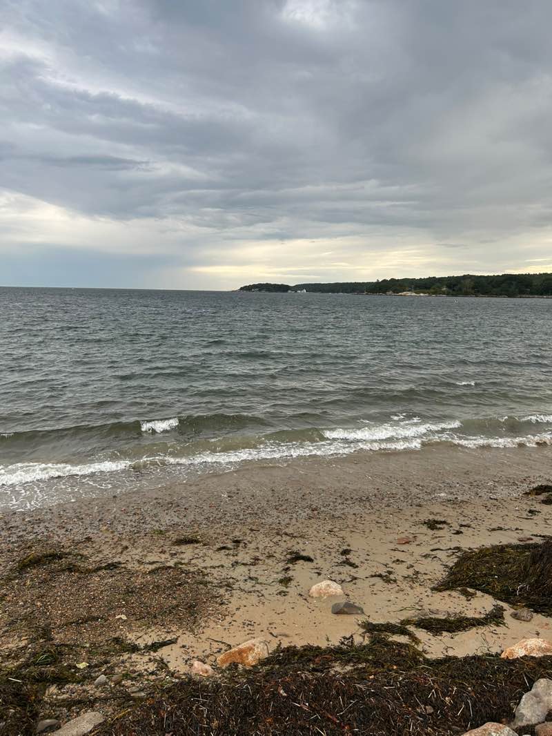 walking near me in Stacy Boulevard in autumn
