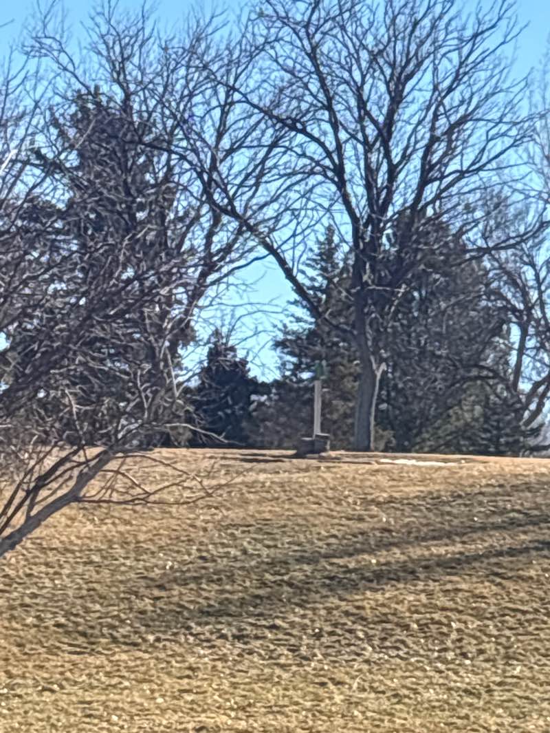 walking near me in Rose Garden Park in winter