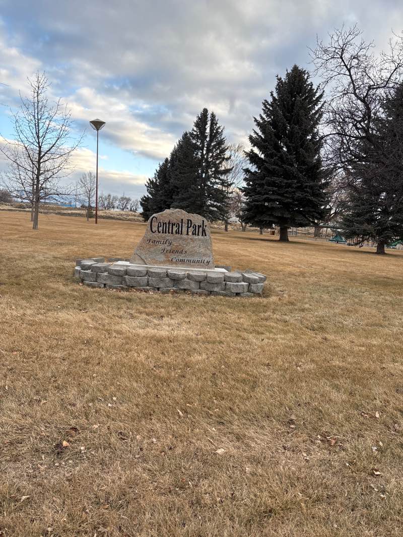 walking near me in Lawn Park in winter