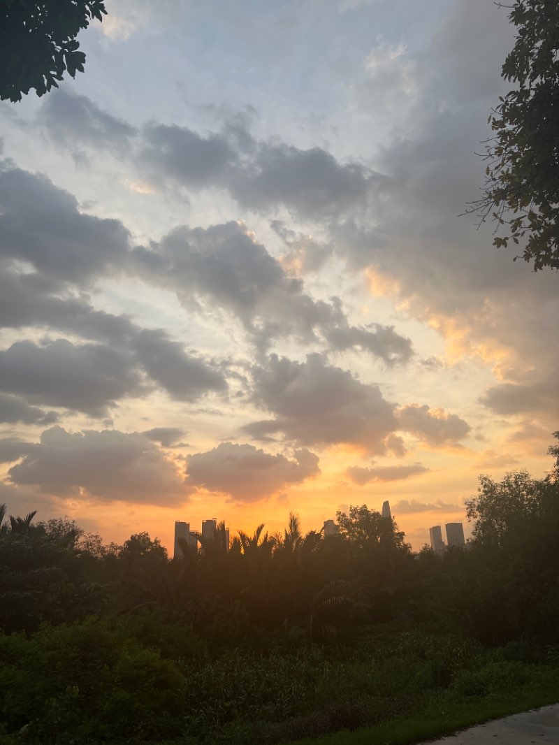 walking near me in Công viên Bến Bạch Đằng in winter