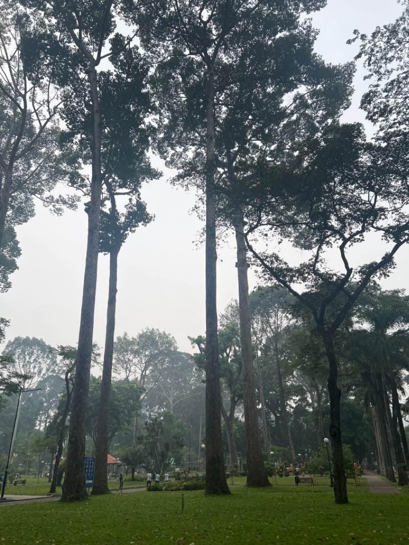 walking near me in Tao Dan Park in winter