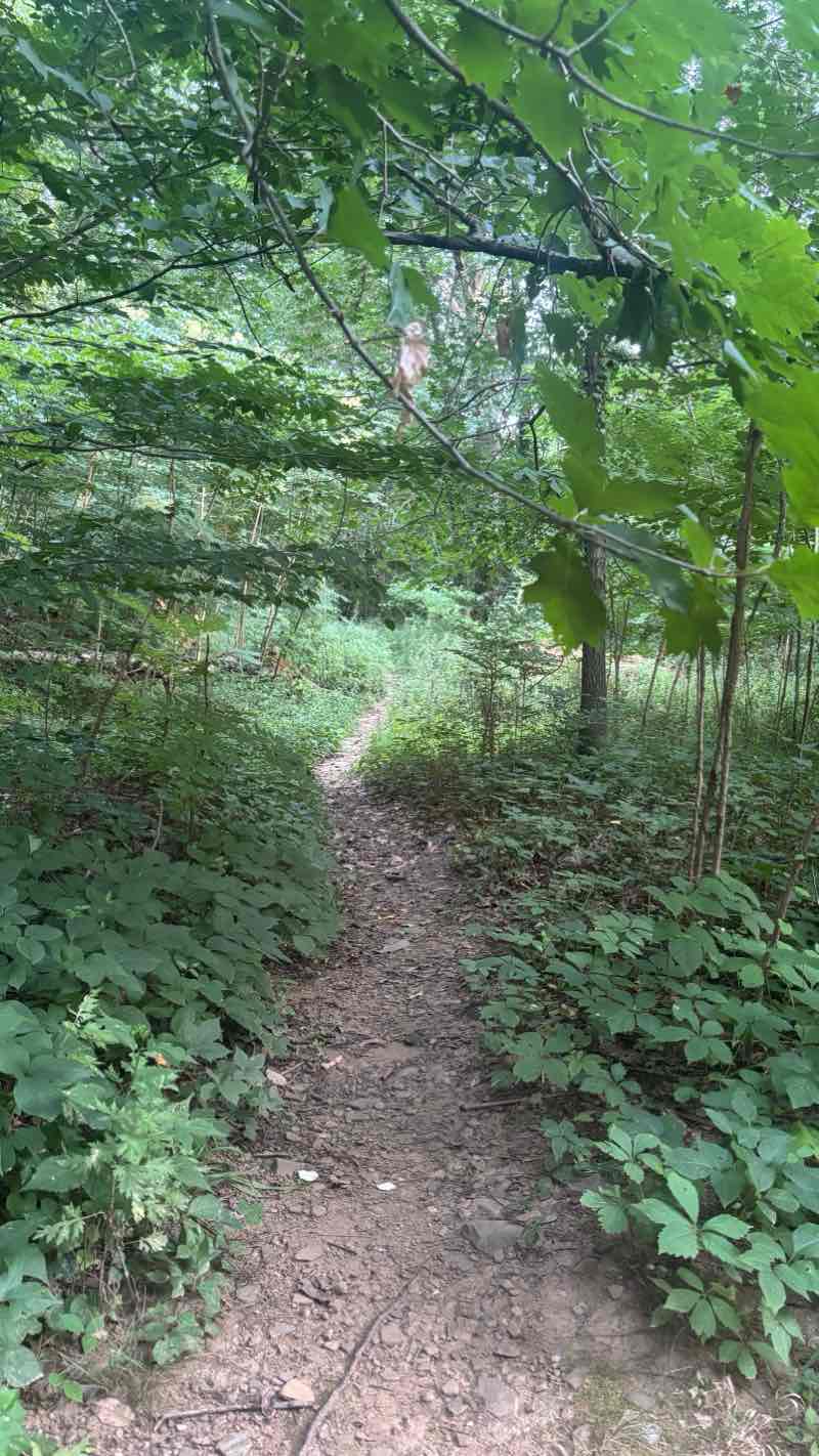 walking near me in McMoran Park in autumn
